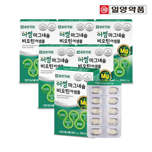 일양 어썸 마그네슘 비오틴 비타민B 어셈블 6박스 6개월분